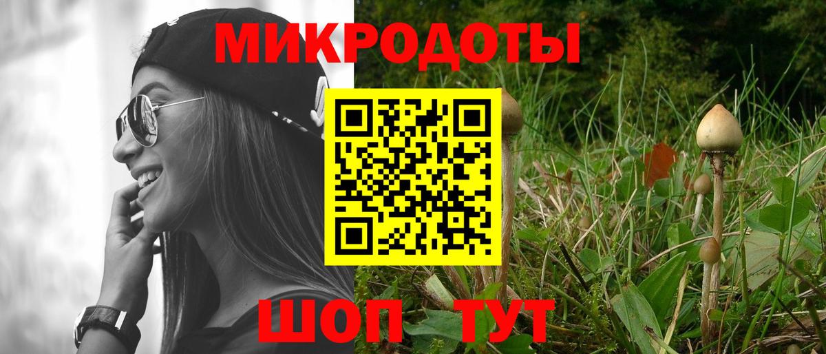 Алексеевка  даркнет сайт  Галлюциногенные грибы ЛСД  Вход с VPN  Галлюциногенные грибы Psilocybe 